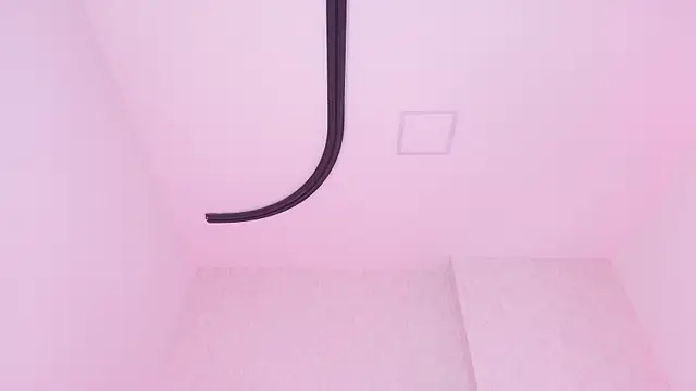 _carolina_fox webcam