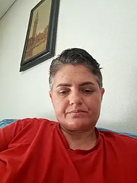 Sony28v webcam