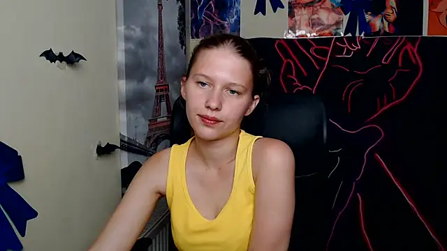 StellaCRL webcam