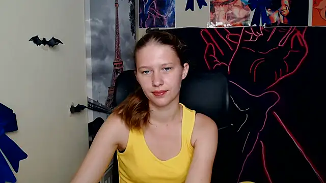 StellaCRL webcam