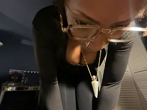 wynterheat webcam