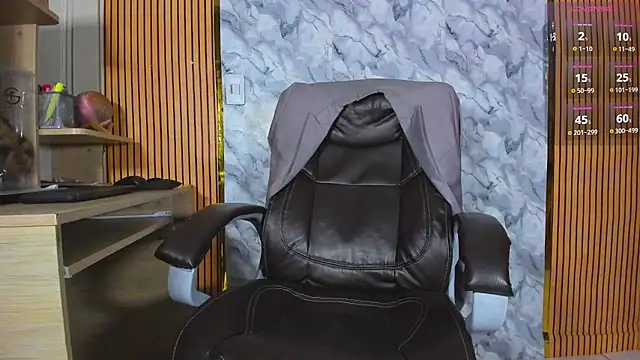 Hideintheoffice webcam