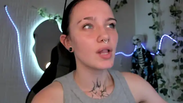 Elastikisss webcam