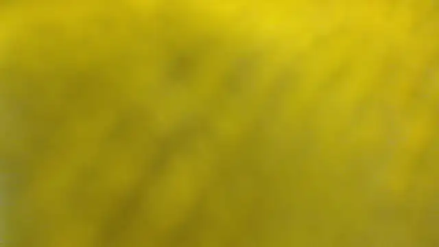 coral_echeverri webcam