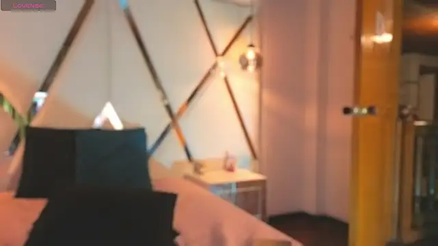MeelFox webcam