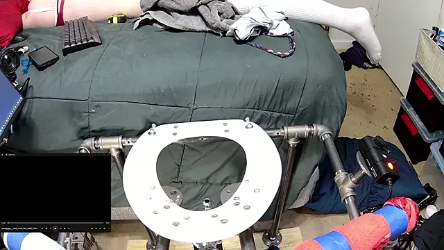 famousALYX webcam