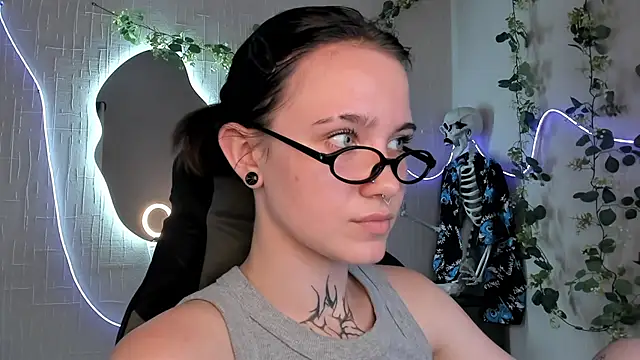 Elastikisss webcam