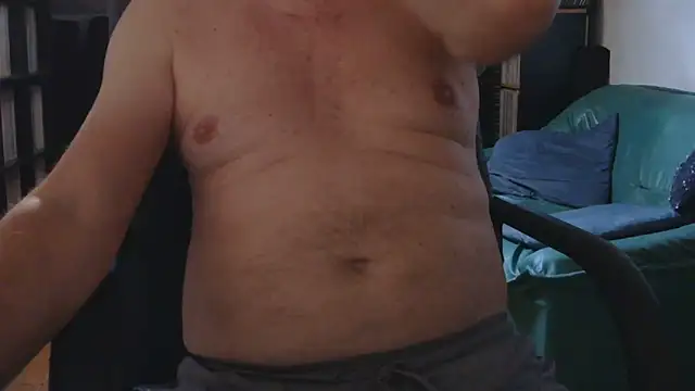 fr3nchkiss webcam