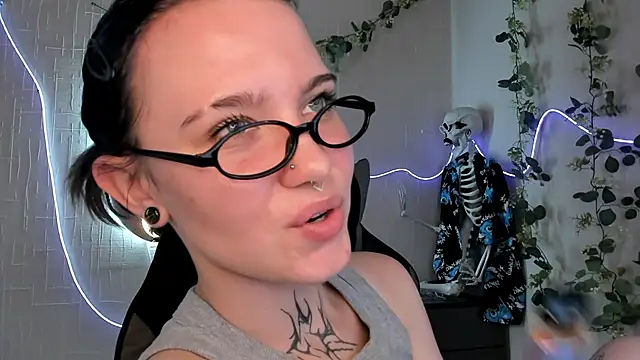 Elastikisss webcam