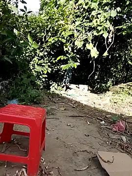 doggy-00 webcam