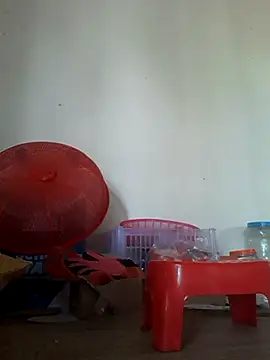 -Tara-a webcam