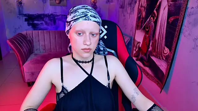 LidaDarknet webcam