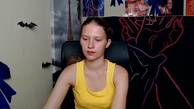 StellaCRL webcam