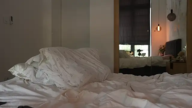 ibiddi webcam