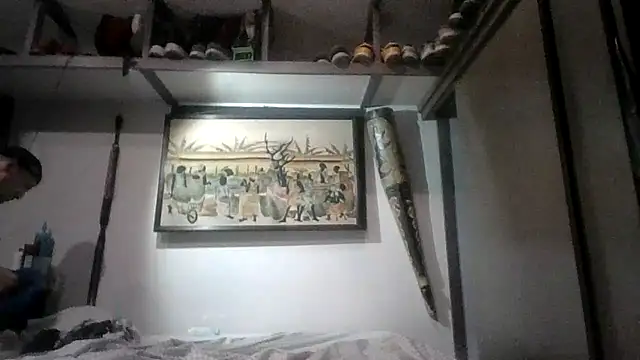 Sicksob webcam