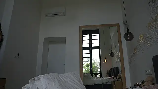 ibiddi webcam