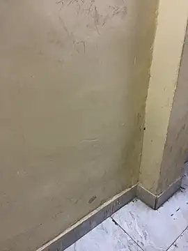 CDNSCOCPL