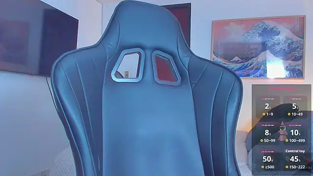 RJBarto webcam