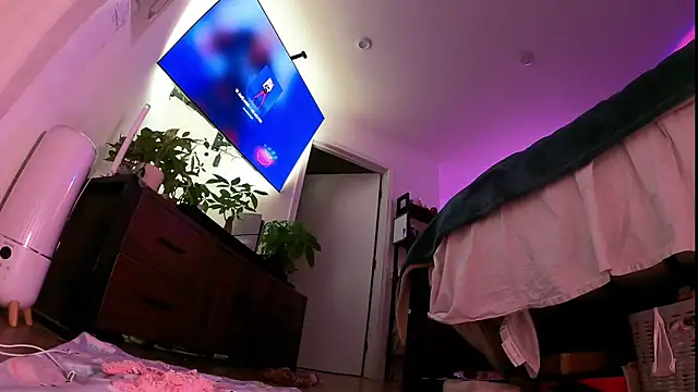 alldogsgotoheaven webcam