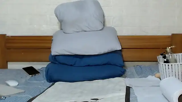 awild_kitten webcam