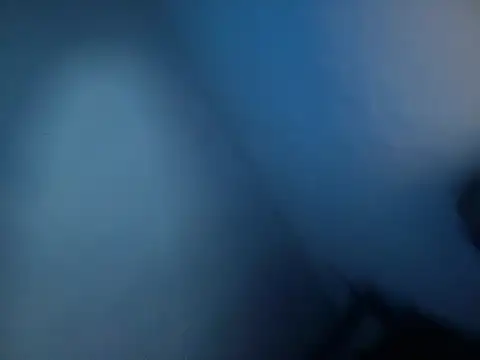 translove webcam