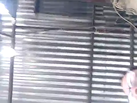 tugordita-hot webcam