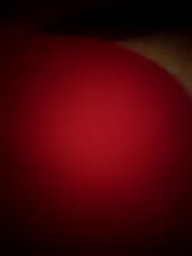 -Tara-a