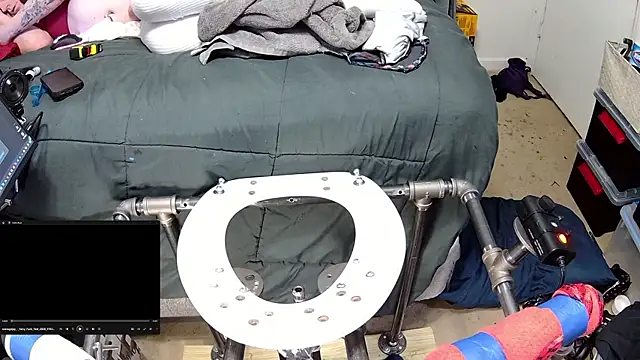 famousALYX webcam