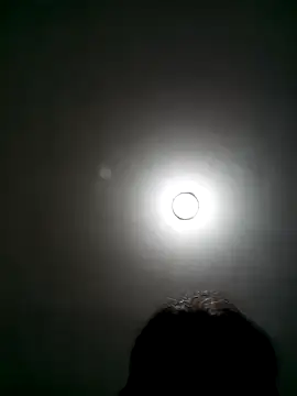 wbrankinha webcam