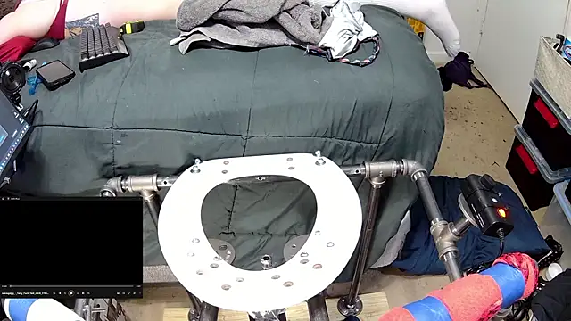 famousALYX webcam