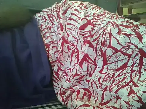 Dizzydose webcam