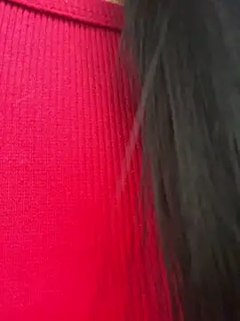 Dakota-fire live cam