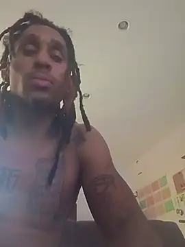 TheRealMrDLlong webcam