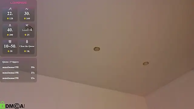 Vonen_Ray webcam