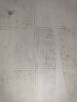 Squirt107 webcam