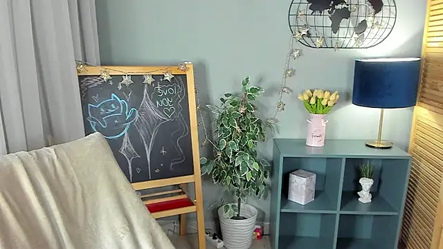 nortellii webcam