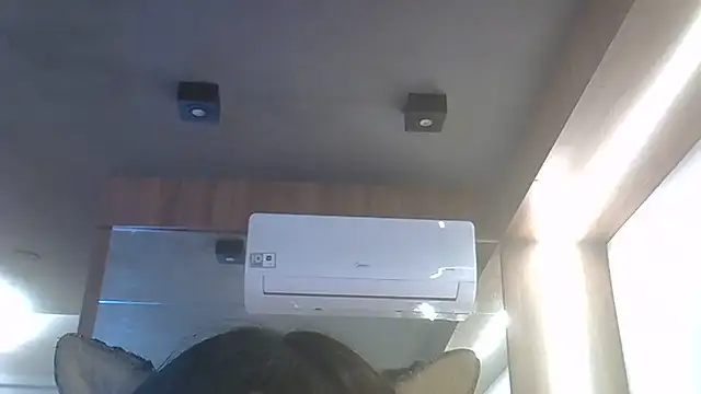 SkinnyKitten webcam