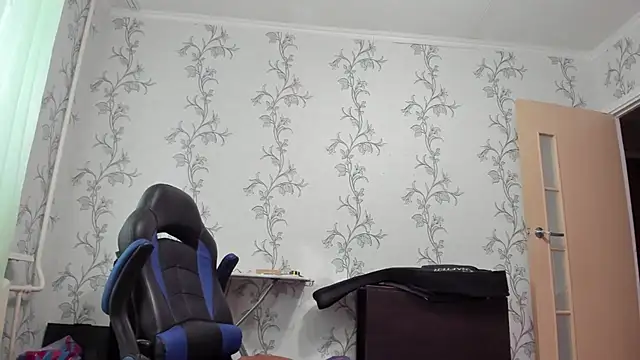 SanFrantsisko webcam