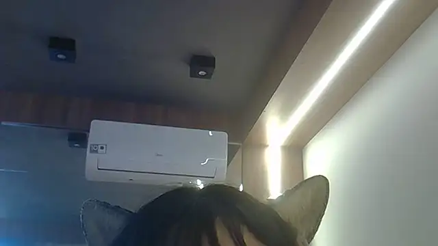 SkinnyKitten webcam