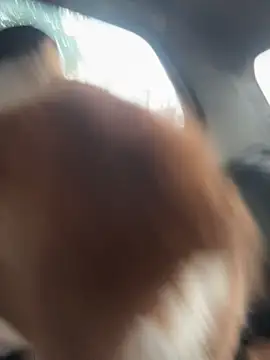 roxyrougee webcam