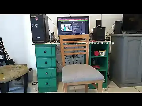 alefer032 webcam