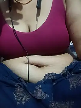 Hansikatelugu webcam