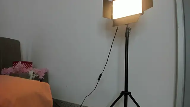 DarkieSweet webcam