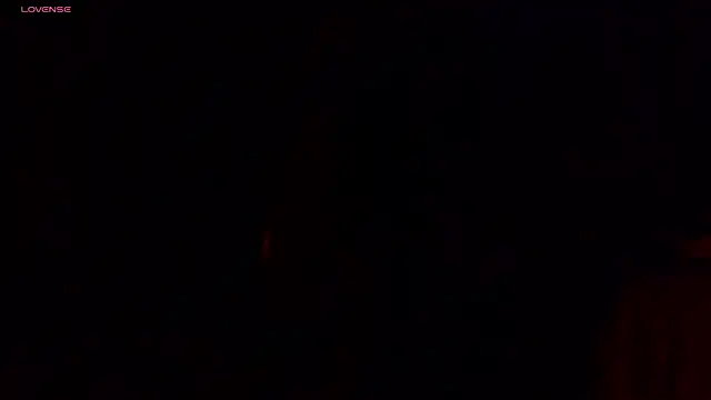 the_dog_lian webcam