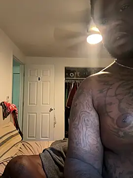 Tattedupdek webcam