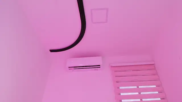 Malaia_thompson_ webcam