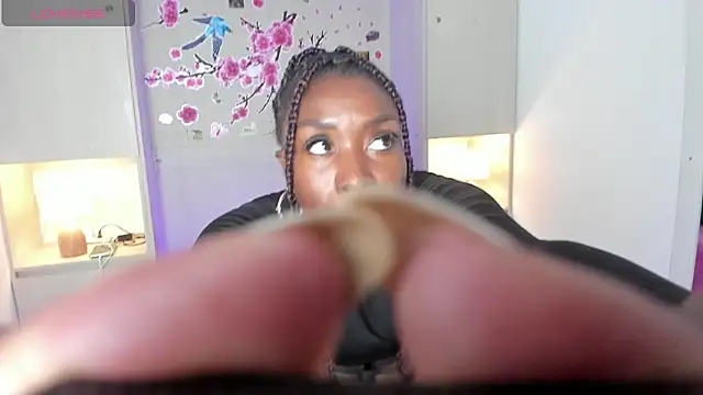 TaylorBloom