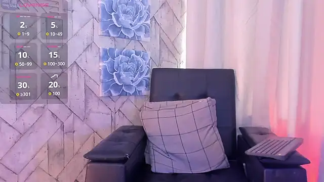 Jaadewest webcam