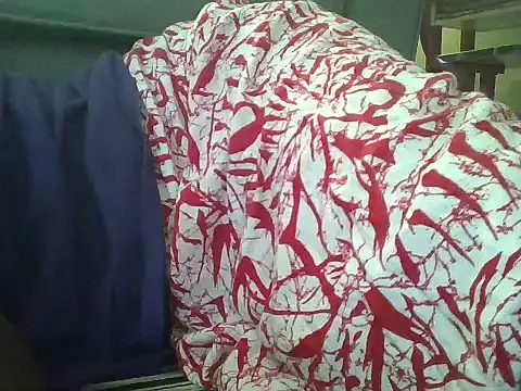 Dizzydose webcam