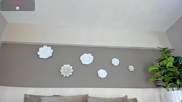 cocoamore webcam